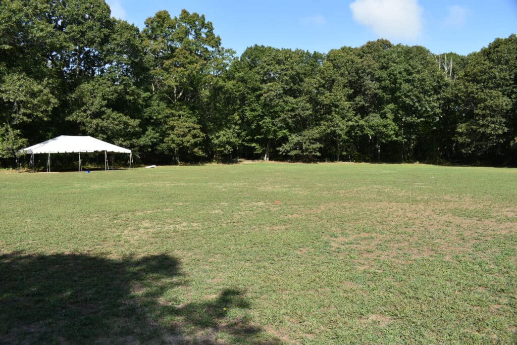 Field